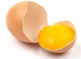3 Cara Membuat Pakan Burayak Dari Telur 